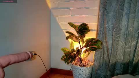 Letty la traga semen lol online show from February 14, 10:18 am