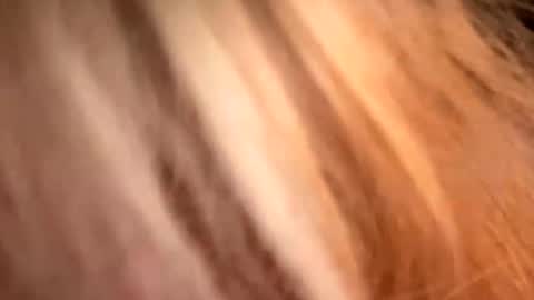 Lisa  online show from April 18, 12:18 pm