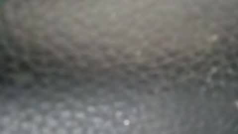 Snapshot of sykotc123292960 chatting on September 10, 8:10 pm sykotc123292960 online show from September 10, 8:10 pm