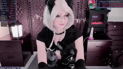 Snapshot of sylvie_fey chatting on January 25, 2:58 am Sylvie online show from January 25, 2:58 am