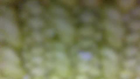 Prostate Orgazmer online show from May 29, 1:42 pm