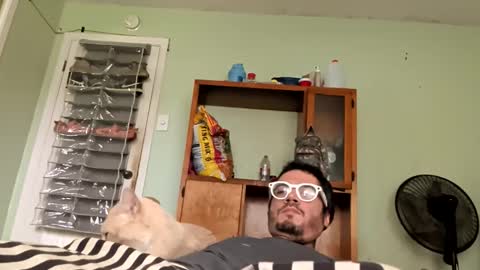 tab7exp online show from June 6, 4:46 pm