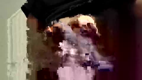 tailblazzer online show from October 13, 5:20 am