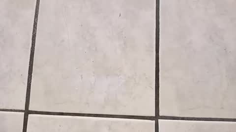 tall6feet7inch online show from October 2, 9:30 am