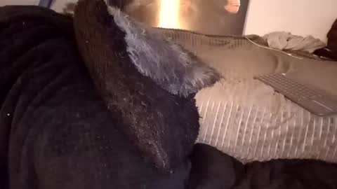 Jean pool online show from February 23, 2:25 am