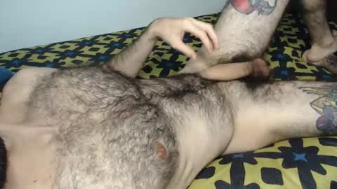 Taylor online show from January 17, 3:43 pm