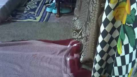 teabody1 online show from March 8, 8:13 pm