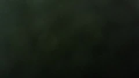 Snapshot of telematicolo2 chatting on February 5, 6:45 am telematicolo2 online show from February 5, 6:45 am