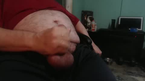 Templargeor online show from September 26, 2:41 am