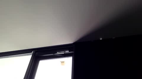 tempsnasty online show from March 16, 9:08 pm