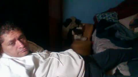 Fabio Canavaro online show from March 28, 2:02 am