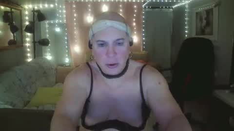 lacey online show from March 8, 2:54 pm