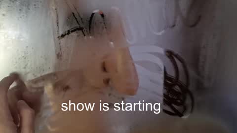 Anna online show from April 11, 2:21 pm