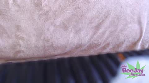 TheBeeJayShow online show from December 4, 3:48 pm