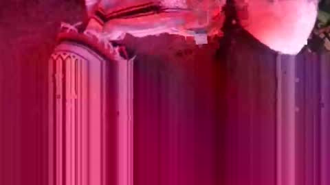 thedeman online show from March 14, 9:24 am