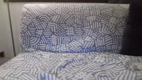 TheFucktotum online show from December 2, 5:11 pm