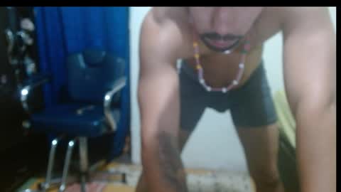 thehousedog online show from April 13, 12:42 pm