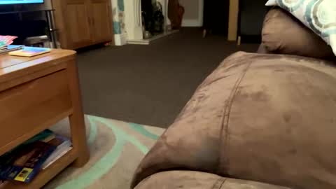 therealpietro77 online show from February 2, 9:22 pm