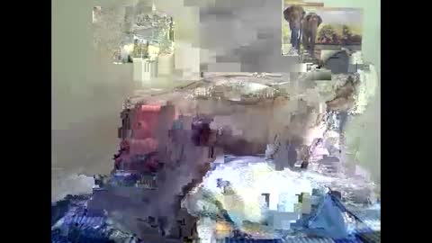 thickassvillageebony online show from October 9, 9:15 am