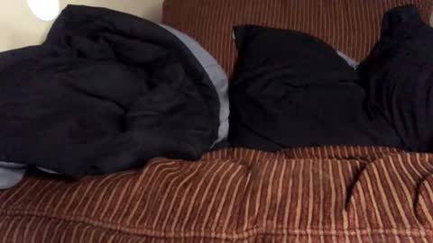 Mr. Perfect Dick online show from November 13, 4:53 pm