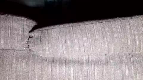 Thirsty4itall online show from January 8, 12:37 pm