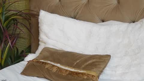  Tiffany  online show from February 9, 11:40 pm