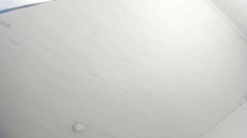 Tiffany online show from December 14, 1:17 pm