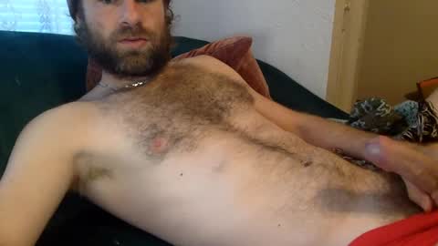 tigerzaddy online show from December 14, 2:53 pm