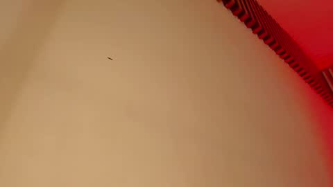 Tina  online show from September 29, 5:06 am