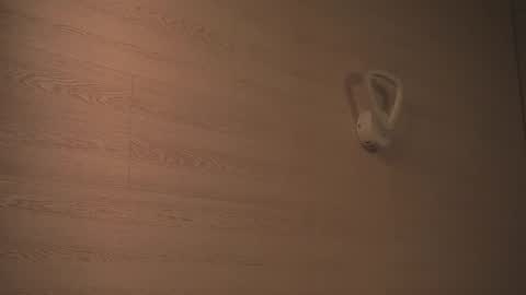Snapshot of tiny_bunny__ chatting on February 22, 7:47 pm Sofia online show from February 22, 7:47 pm
