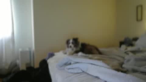 titsmcgeee123 online show from January 31, 11:02 pm