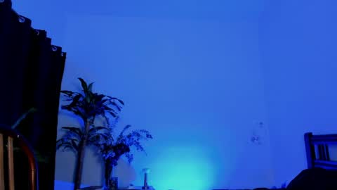 Tokyo online show from April 18, 3:25 pm