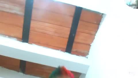 Blue online show from March 3, 9:26 pm