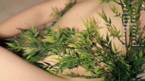 Toshi online show from December 15, 1:07 pm