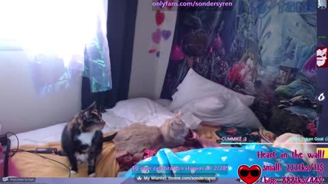 Cassie online show from February 24, 10:02 pm