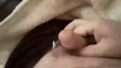 trucker9296 online show from November 15, 11:06 pm