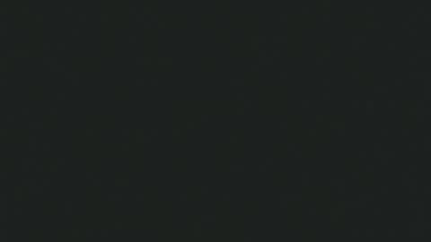 Portuga online show from February 13, 8:39 am