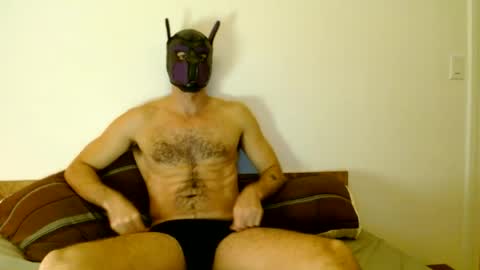 Tuck online show from August 1, 6:26 am