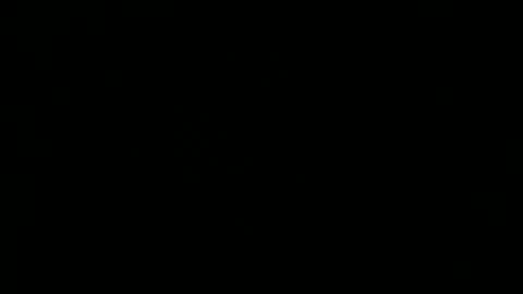 Bi Bear Delight online show from April 27, 12:41 am