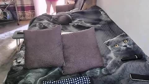 Lana online show from September 18, 2:15 am