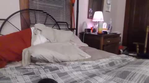 Kitten online show from January 15, 2:42 am