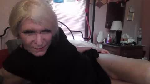 Kitten online show from June 5, 8:03 pm
