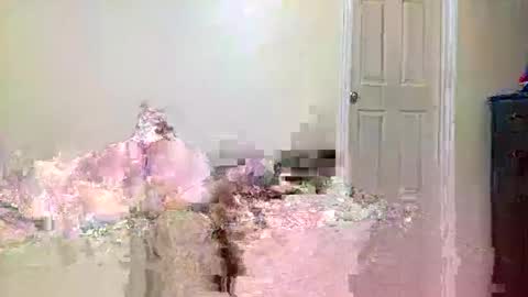 twinflamecaps online show from April 9, 8:20 am