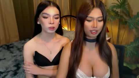 Snapshot of twinktransshanel chatting on October 9, 5:24 am twinktransshanel online show from October 9, 5:24 am