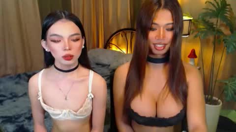 Snapshot of twinktransshanel chatting on October 8, 5:02 am twinktransshanel online show from October 8, 5:02 am
