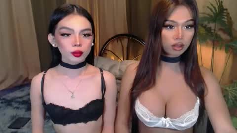 Snapshot of twinktransshanel chatting on October 6, 4:19 am twinktransshanel online show from October 6, 4:19 am