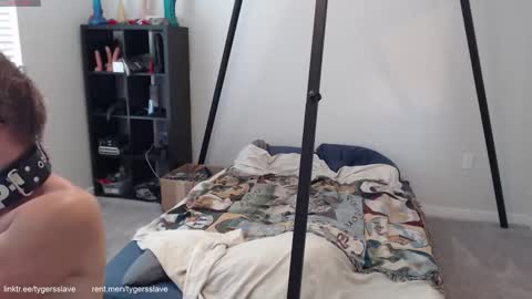 Tygers slave online show from October 13, 8:33 pm