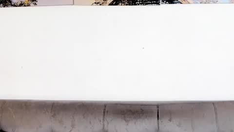 Dvid Rullers online show from January 12, 12:56 pm