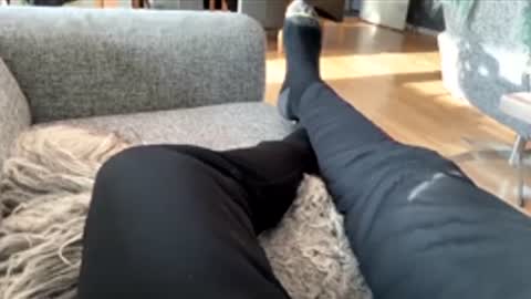 Usemy67 online show from January 16, 10:35 am