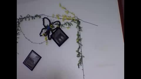 valery_honey_ online show from June 2, 1:18 am